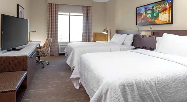Четырёхместный номер Premium Hilton Garden Inn Waco