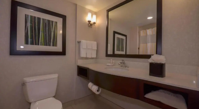 Одноместный люкс Hilton Garden Inn Fayettevile