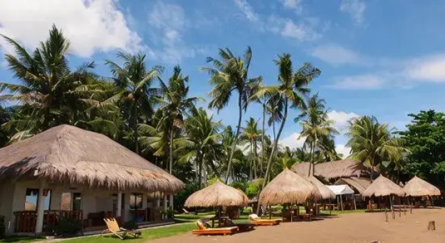 Номер Deluxe Pura Vida Beach & Dive Resort