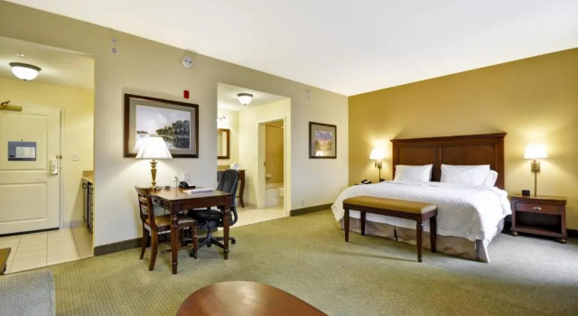 Студия Hampton Inn & Suites North Charleston-University Boulevard