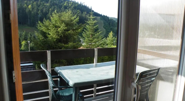 Апартаменты Appartement A La Bresse Hohneck