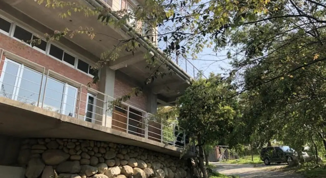 樹之間民宿 樟間 櫸間, Prenota Bed & breakfast Dongshi 