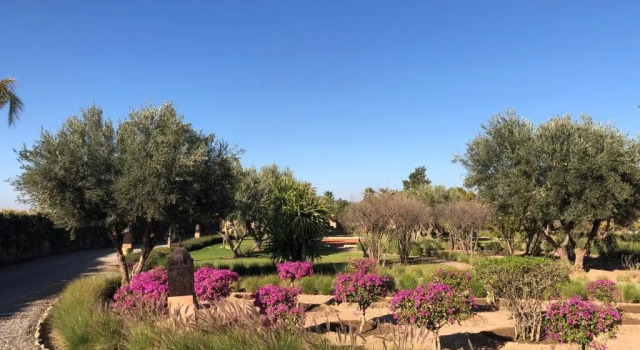 Вилла Villa Akhdar 17 - Marrakech