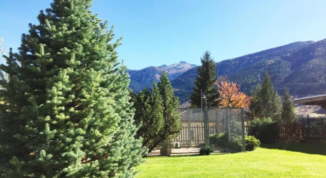 Апартаменты Apartments Trettel