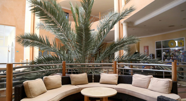 Eden Star Resort