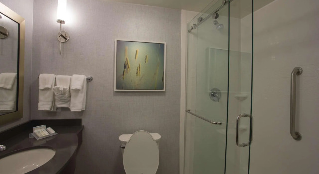 Двухместный номер Standard Hilton Garden Inn Bolingbrook I-55