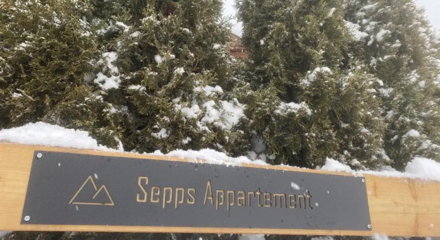 Апартаменты Sepps Appartement