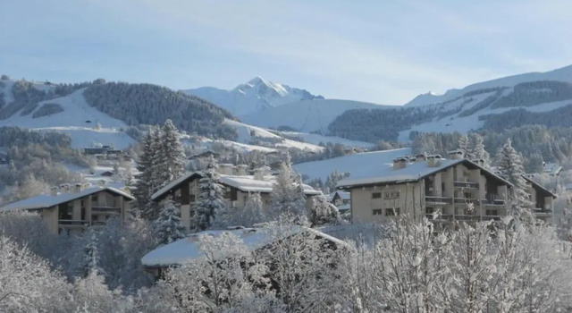 Апартаменты Appartement les 4 Monts
