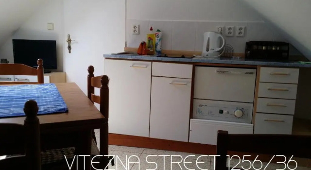 Студия Standard Holiday Apartments Vítězná 1256/36