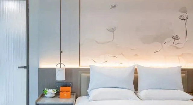 Люкс Executive Wuhan Jointown Swan Hotel
