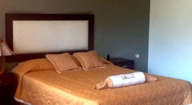 Одноместный номер Standard Hotel Anteus