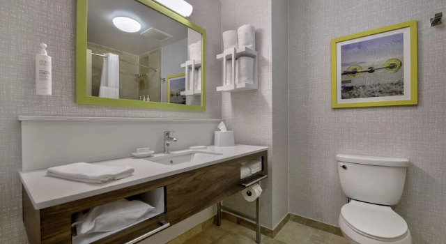 Suite Hampton Inn & Suites Jackson