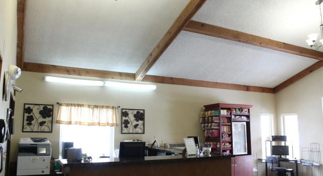 Lone Tree Inn, Book Hotel Billige hoteller i Montana
