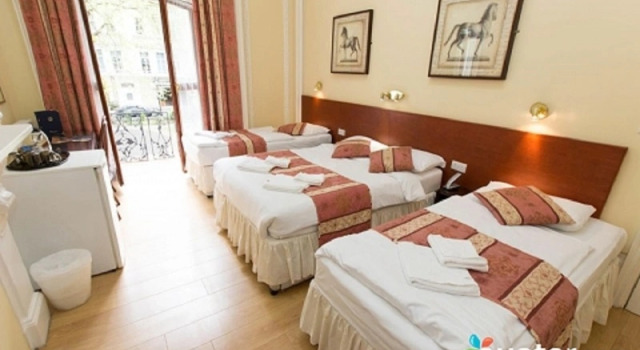 Номер Dolphin Hotel