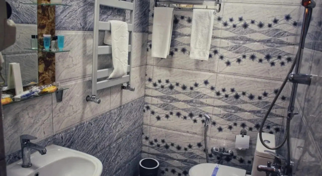 Standard double chambre Antique Hotel Baku