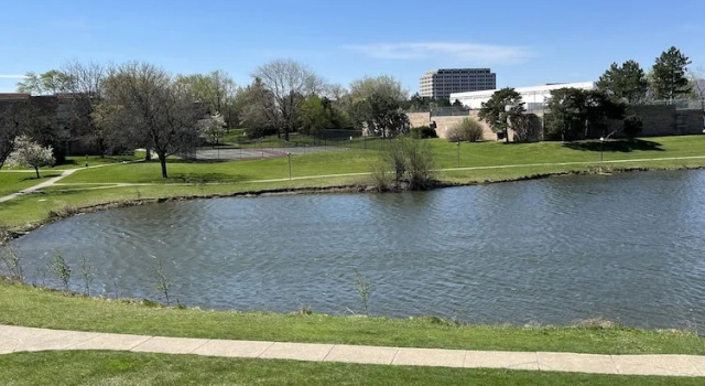 Двухместный люкс Wyndham Garden Schaumburg Chicago Northwest
