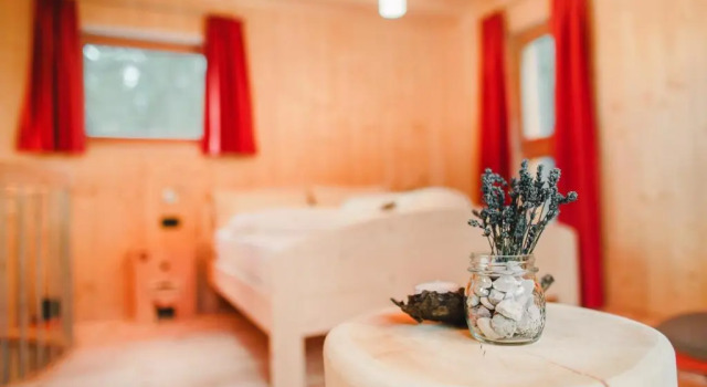 Шале c 1 комнатой Forest Chalet Resort FELIZITAS