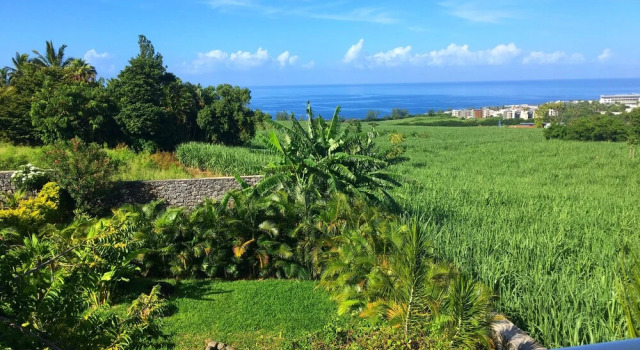 Premium apartament L'Oasis de Terre Rouge