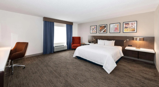 Двухместный номер Standard Hilton Garden Inn BWI Airport