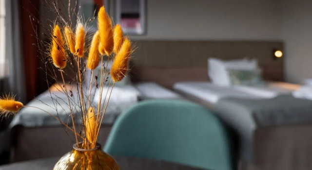 Номер Deluxe Quality Hotel Prinsen