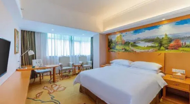 Люкс Business Vienna Hotel