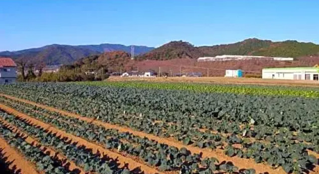 Hotel Select EhimeAinancho - Vacation STAY 99461v, 予約 ホテル Tsushima 愛媛県