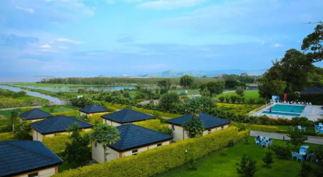 Одноместный номер Standard Haile Resort Ziway Batu