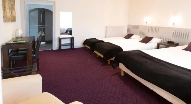 Четырёхместный номер Standard Logis Hotel Le Cerf