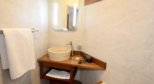 Двухместный номер Classic Green hotels Confort Paris 13