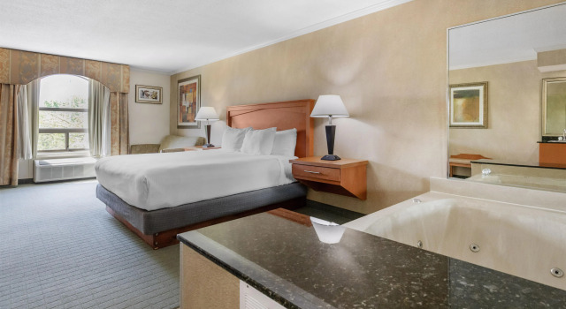 Двухместный люкс Best Western Davison Inn