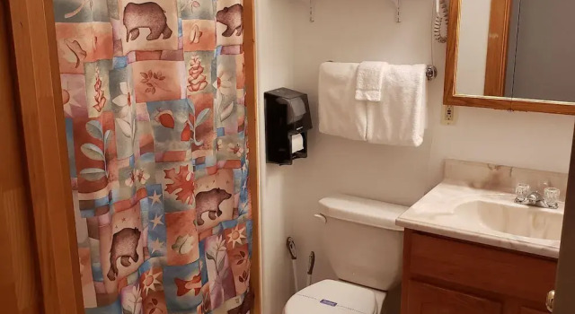 Апартаменты Standard Wolf Den Log Cabin Motel and RV Park