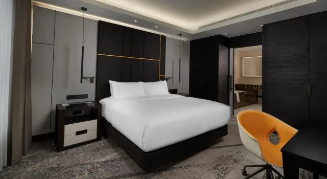 Двухместный люкс c 1 комнатой Hilton Belgrade