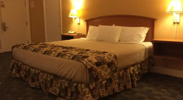 Двухместный номер Dome Wildwood Inn Tropical Dome & Theme Suites