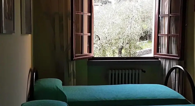 La Collina Degli Olivi