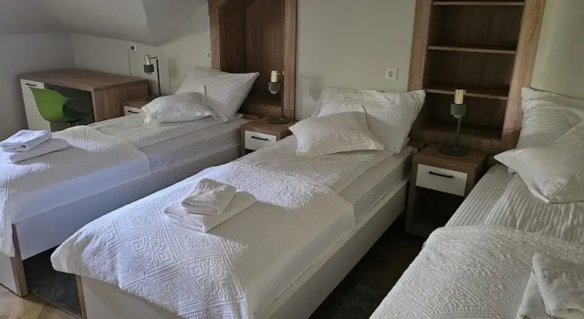Номер Economy Dubrovnik Hotel Akademis Čingrija
