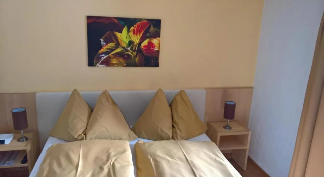Двухместный номер Economy с видом на Юнгфрау Jungfrau Hotel