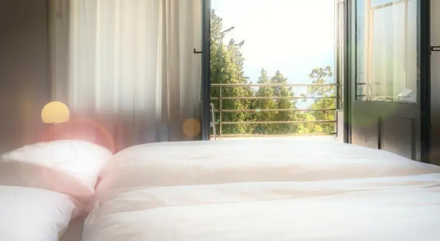 Двухместный номер Standard с балконом и с видом на озеро Hotel Monte Verità