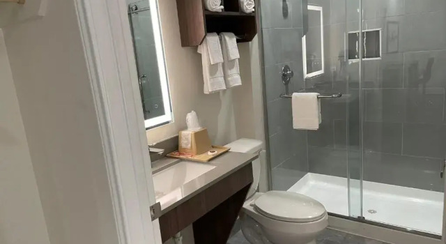 Люкс Deluxe Palace Inn Blue - Garth Rd