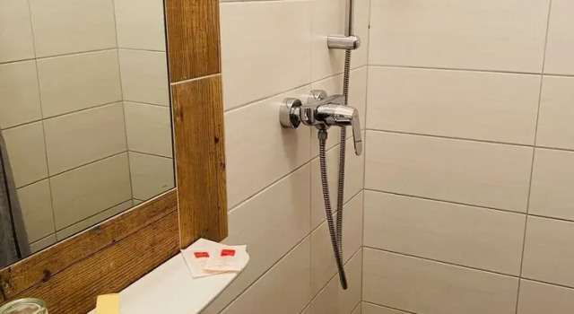 Одноместный номер Economy Waldhotel