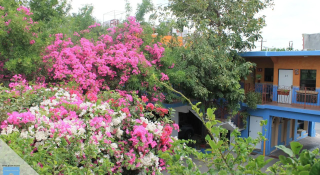 Hotel Hacienda del Viejo