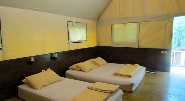 Lawu Forest Camp