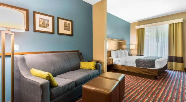 Люкс c 1 комнатой Comfort Suites Fairview Heights Saint Louis