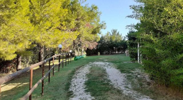 Трёхместный номер Classic Pier Delle Vigne B&B