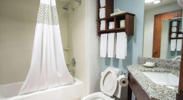 Четырёхместный номер Standard The Hotel at Dayton South