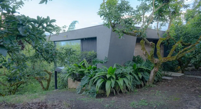 Palta Eco Haven Hotel, Book Hotel Hotels in Coffee Triangle with Breakfast, Breakfasts