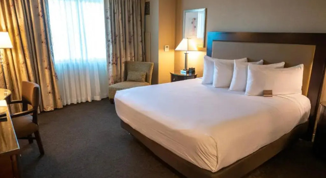 Двухместный номер Deluxe Gold Strike Casino Resort