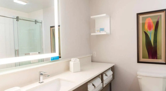 Люкс с балконом Hampton Inn Holland