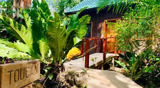 Номер Deluxe Mariposa Jungle Lodge