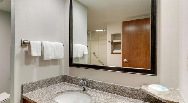 Номер Deluxe Drury Inn & Suites Birmingham Lakeshore Drive