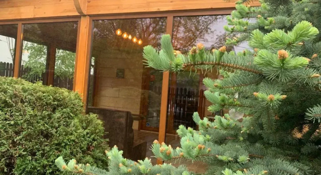 Шале Chalet Milenium Residence Bran